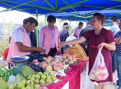 農副產品促銷會 打通產銷對接，助力脫貧攻堅的堅實橋梁